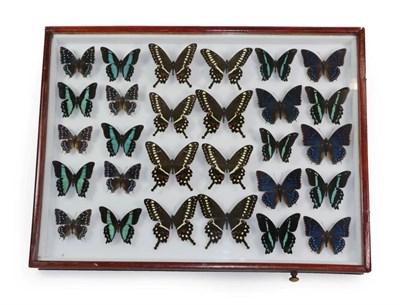 Lot 1571 - Entomology: A Large Glazed of Display of African Butterflies, circa 21st Century, a large...