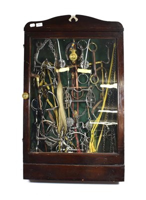Lot 81 - A Glazed Pine Display Case of Cavalry Equipment, late Victorian/Edwardian including  harness...
