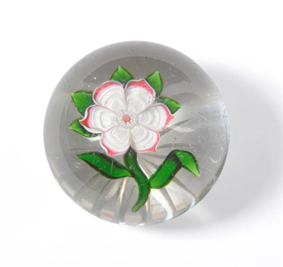 Lot 3 - A Baccarat Glass Paperweight, 19th century, with a white six-petalled flower on a green stem, 7.5cm