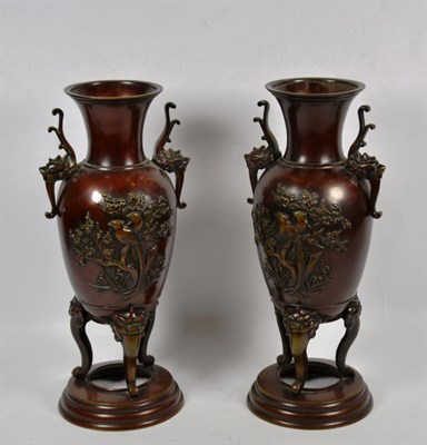 Lot 304 - A pair of Japanese bronze twin handled vase, with ballaster form decorated with exotic bird amongst