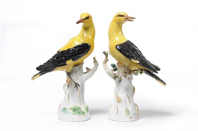 Lot 72 - A Pair of Meissen Porcelain Figures of Golden Orioles, 20th century, each perched on a tree...