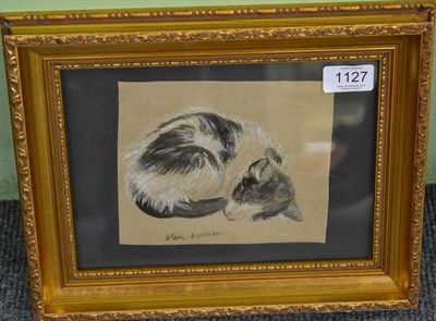 Lot 1127 - Albere Andrade, study of a cat, signed, watercolour heightened with white