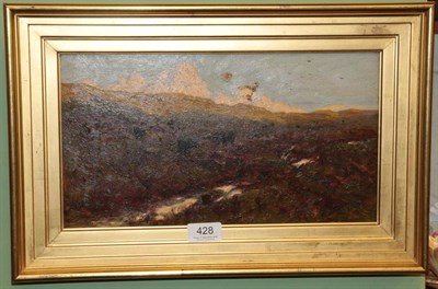 Lot 428 - Tom Lloyd, Cattle in moorland, oil on canvas, signed