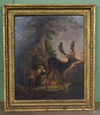 Lot 453 - Sawrey Gilpin RA (1733-1807) A deer with fawn, oil on panel, 30cm by 24.5cm, Provenance:...