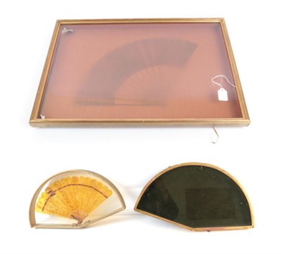 Lot 2009 - Three Glazed Fan Cases, two shaped, one containing a horn brisé fan with 16 sticks, gently rounded