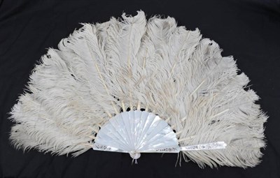 Lot 2033 - A Large Late 19th Century Mottled Ostrich Feather Fan, mounted on quite substantial white...