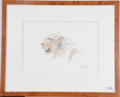 Lot 3048 - Spencer Hodge (b.1943) Cheetah washing Signed, watercolour, together with a further study of...