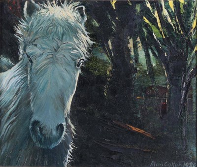 Lot 3108 - Alan Cotton (b.1936) ''White Horse'' Signed and dated 1980, inscribed verso, oil on canvas, 25cm by