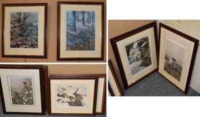 Lot 441 - After Steven Townsend, eight assorted limited edition colour prints of birds and wildlife