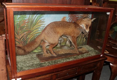 Lot 1260 - Taxidermy: A cased red fox (vulpes vulpes) circa 1975, full mount adult with a snipe prey...
