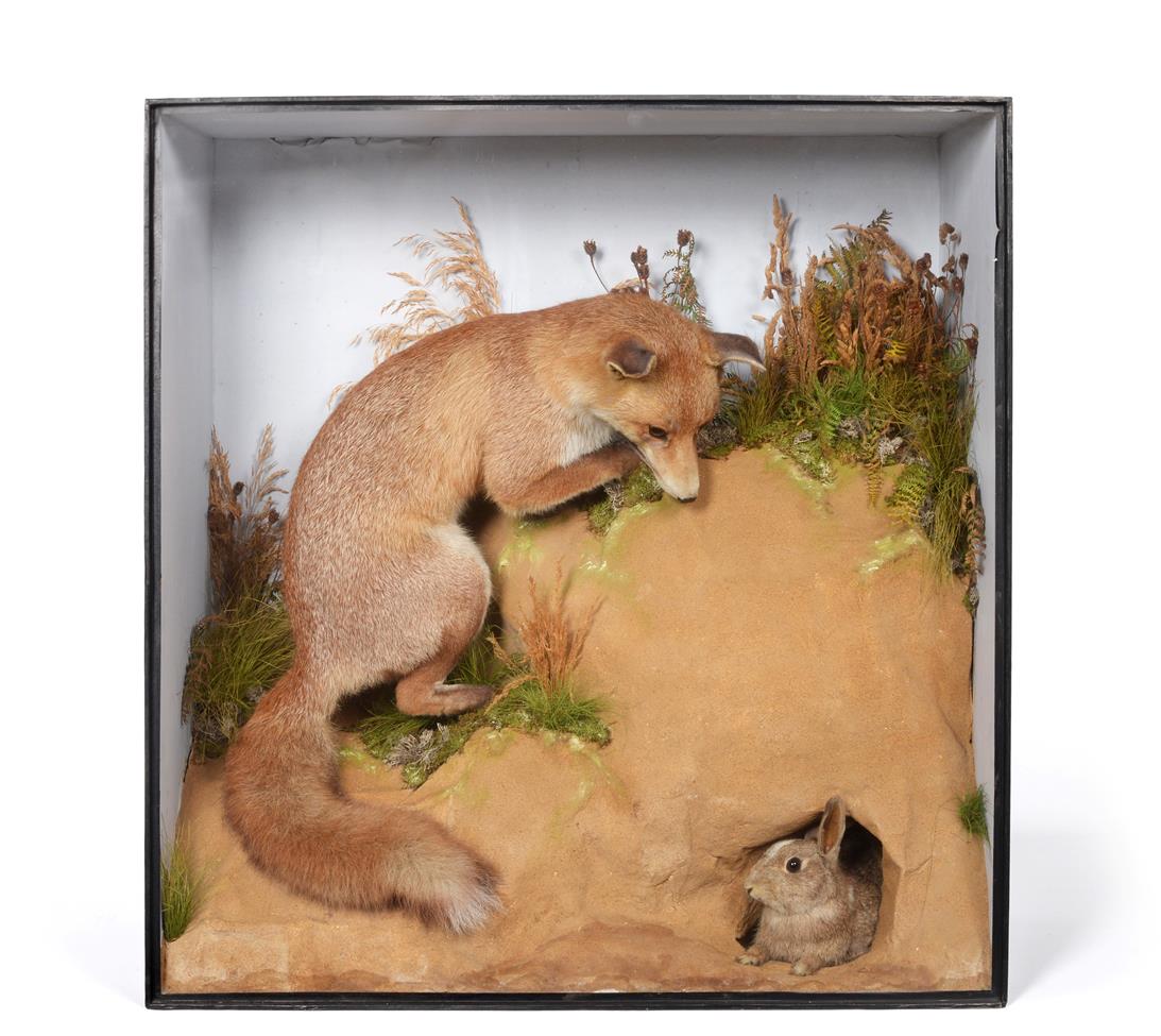 Lot 45 - Taxidermy: A Large Victorian Cased Red Fox Diorama (Vulpes vulpes), by T.E. Gunn, 86 St Giles...