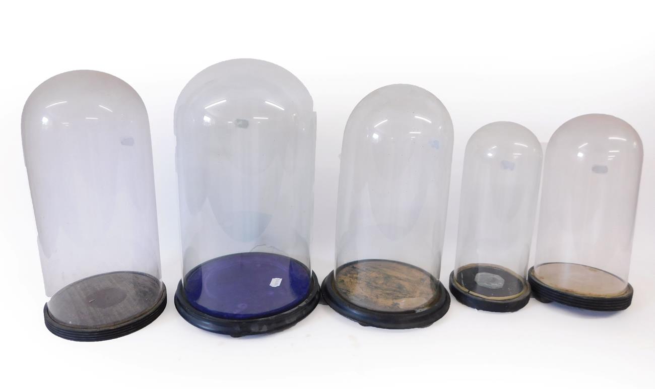 Lot 47 - Taxidermy: Five Various Sized Period Glass Domes, all with circular bases, 23cm x 45cm, 20cm x...