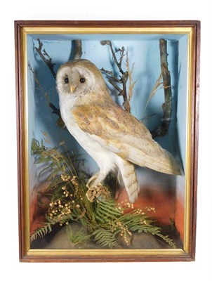 Lot 55 - Taxidermy: A Victorian Cased Barn Owl (Tito alba), by J. Pear, Naturalist, Norwich, a full...