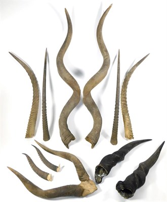 Lot 61 - Antlers/Horns: African Hunting Trophy Horns, circa early 20th century, six sets of various...
