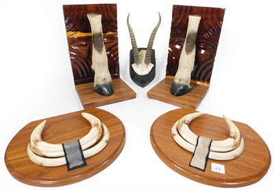 Lot 66 - Taxidermy: Gemsbok Oryx Leg Mounted Bookends, a pair of African hardwood mounted Gemsbok Oryx...
