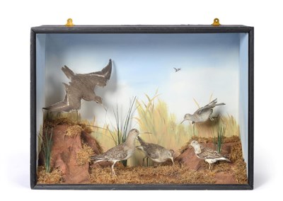 Lot 97 - Taxidermy: A Late Victorian Cased Diorama of Sandpipers & Sanderlings, circa 1897, three full mount