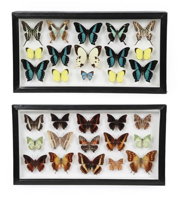 Lot 113 - Entomology: A Pair of Glazed Displays of African Butterflies, circa 21st century, a pair of...