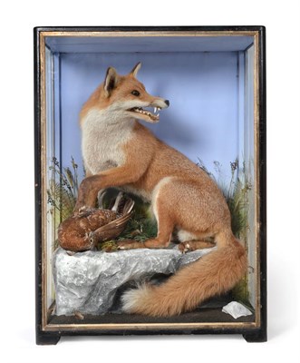 Lot 123 - Taxidermy: A Victorian Cased Red Fox (Vulpes vulpes), by James Hutchings of Aberystwyth, a...