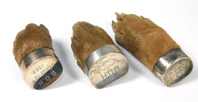 Lot 124 - Taxidermy: Antique Eurasian Otter Paws (Lutra lutra), Buckinghamshire Otter Hounds, circa...