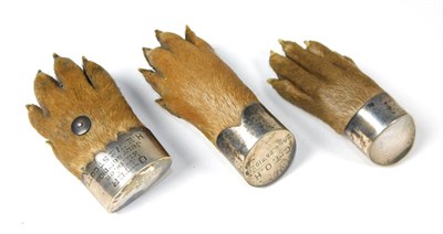 Lot 150 - Taxidermy: Antique Eurasian Otter Paws (Lutra lutra), circa early 20th century, three various sized