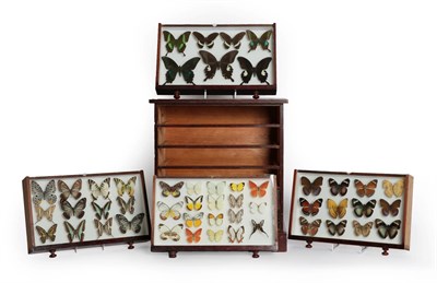 Lot 152 - Entomology: A Mixed Collection of World Butterflies, circa 1975-2012, a collection of one...