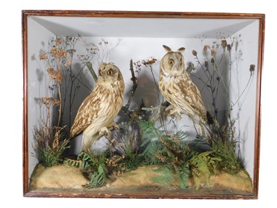 Lot 158 - Taxidermy: A Victorian Cased Long-Eared Owl and Short-Eared Owl, circa 1838-1906, by J. A....