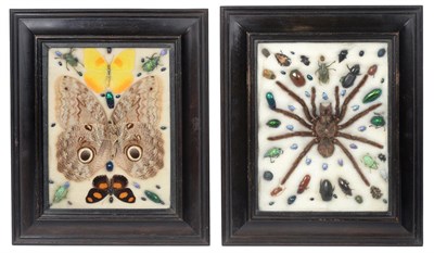Lot 171 - Entomology: A Pair of Edwardian Framed Insect Specimens, from W.R. Deighton, Printseller, Publisher