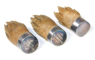 Lot 177 - Taxidermy: Antique Eurasian Otter Paws (Lutra lutra), circa early 20th century, three various sized