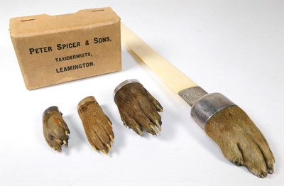 Lot 186 - Taxidermy: Antique Eurasian Otter Paws (Lutra lutra), circa early 20th century, three various sized
