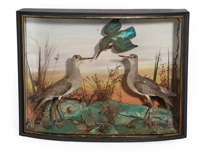 Lot 196 - Taxidermy: A Cased Pair of Redshanks and Common Kingfisher, by John Cooper & Sons, 28 Radnor...
