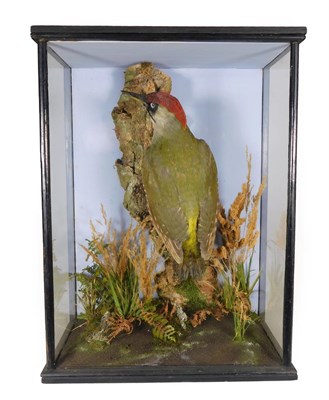 Lot 216 - Taxidermy: A Victorian Cased Green Woodpecker (Picus viridus), by George Herd, 33 Havelock...