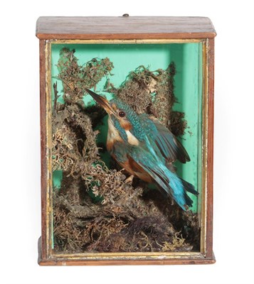 Lot 246 - Taxidermy: A Victorian Cased European Kingfisher (Alcedo atthis), full mount perched upon a...