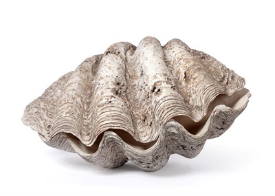 Lot 253 - Conchology: Giant Clam Shell (Tridacna gigas), late 19th century, a complete full shell, left...