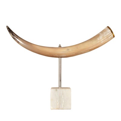 Lot 264 - Antlers/Horns: A Polished and Mounted Bull Horn, (Bos taurus), modern, a brass mounted single...