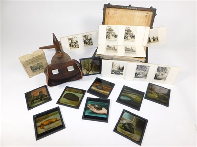 Lot 283 - Collectibles: London Zoological Gardens Lantern Slides, chapter VIII, no 819, Armour plated...