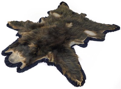 Lot 295 - Taxidermy: A Pair of Sloth Bear Skin Rugs (Melursus ursinus), circa 05th/ April/ 1940, by Van Ingen