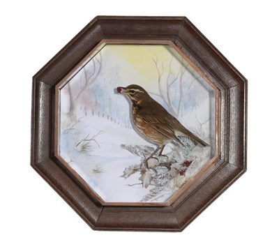 Lot 314 - Taxidermy: An Octagonal Wall Cased Redwing (Turdus iliacus), modern, by A.J. Armitstead,...