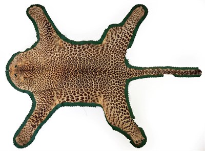 Lot 322 - Taxidermy: African Leopard (Panthera pardus), circa 1920, flat skin rug with limbs...