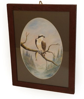 Lot 333 - Pictures: Watercolour Painting of an Osprey, by A.J. Armitstead, Darlington, Co Durham, modern,...