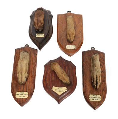 Lot 334 - Taxidermy: A Small Collection of Mounted Hare Feet, circa early 20th century, four mounted Hare...