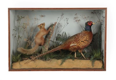 Lot 351 - Taxidermy: A Cased Diorama of a Red Squirrel and Ring-Necked Pheasant, 1838-1906, by J.A. Cole,...