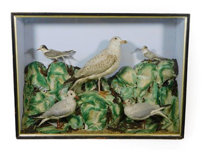 Lot 373 - Taxidermy: A Victorian Cased Diorama of Sea Birds, circa 1873-1879, by Ward & Co Ltd, Fishing...