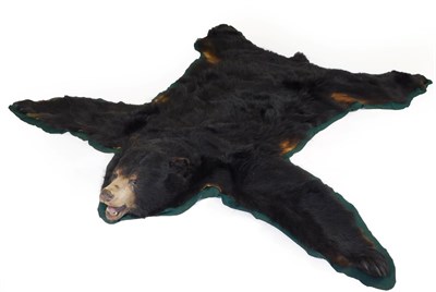 Lot 385 - Taxidermy: A North American Black Bear Skin Rug (Ursus americanus), circa 2005, Canada, an...