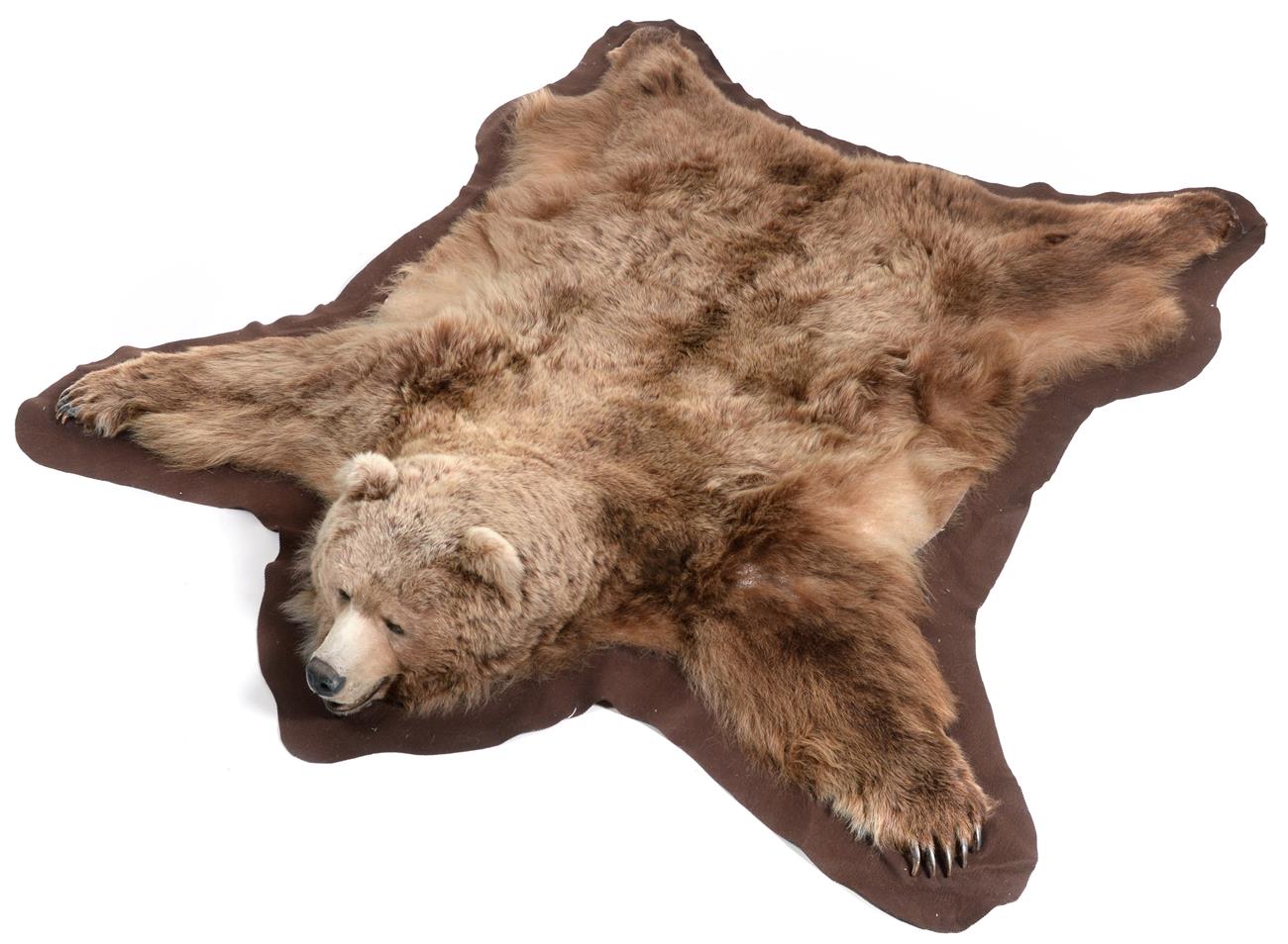 Lot 399 - Taxidermy: East Siberian Brown Bear (ursus arctos collaris), circa 03/05/1993, very large skin...