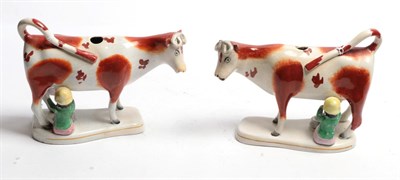 Lot 80 - A pair of Staffordshire pottery cow creamers, mid 19th century, naturalistically modelled standing