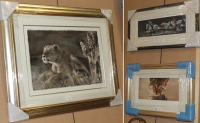 Lot 1062 - Rob Hefferan (Contemporary), Lions in the scrub, print, together with a limited edition print...
