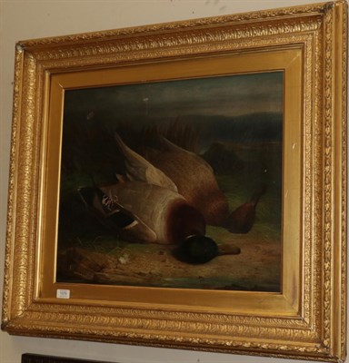 Lot 1079 - Abel Hold (1815-1896), A brace of mallard, signed, oil on canvas, framed, 50cm by 59.5cm (a.f.)