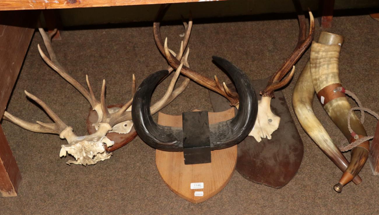 Lot 1146 - Antlers/Horns: Three sets of European Red