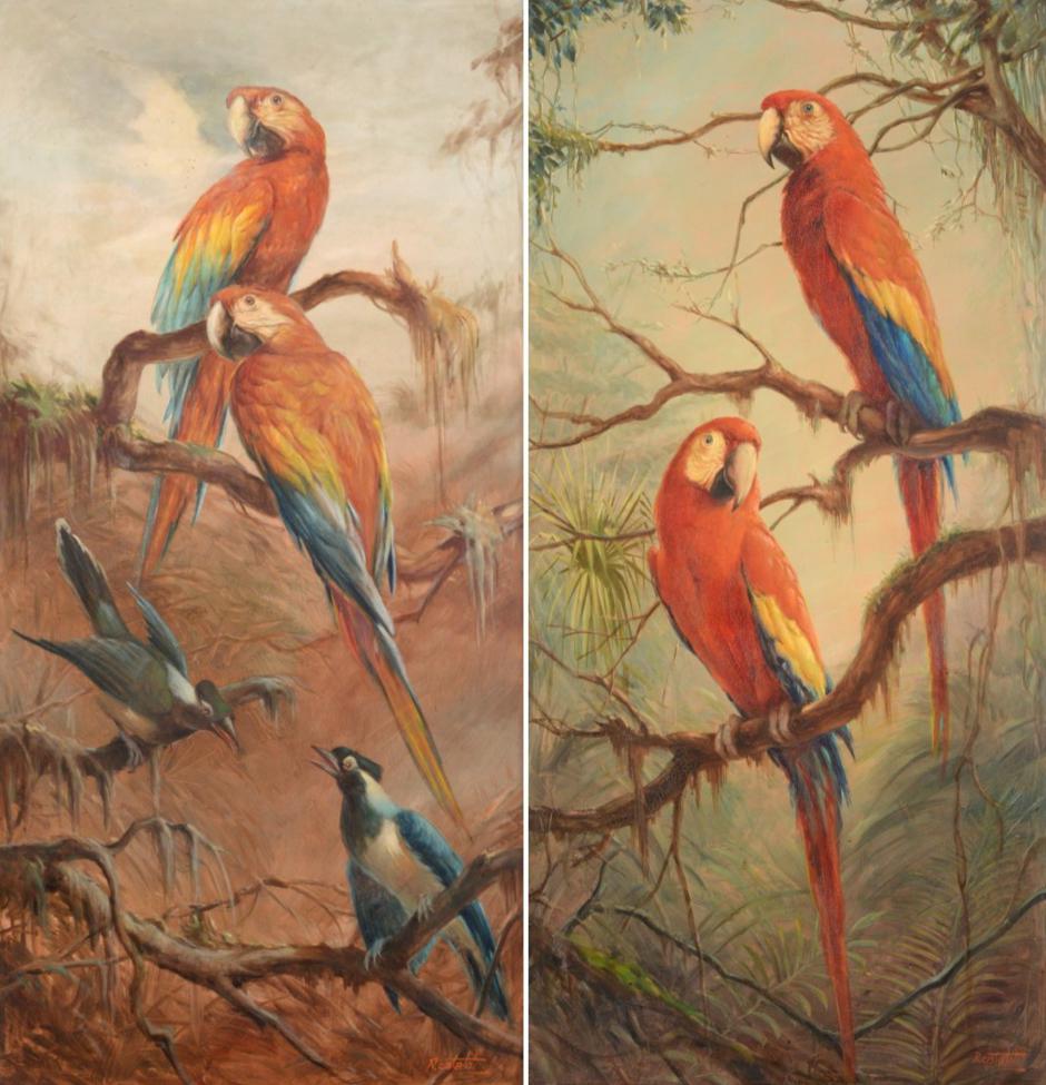 Lot 561 - Renato Cataldi (1909-1981) Brazilian ''Macaws'' ''Two Scarlet Macaws'' Each signed, oil on...