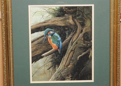 Lot 653 - Alan M. Hunt (b.1947) Kingfisher standing on a branch above a stream Signed and dated 1980, gouache